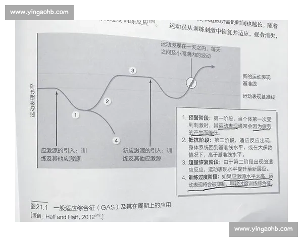现代体育科学在运动表现优化与伤病预防中的应用研究